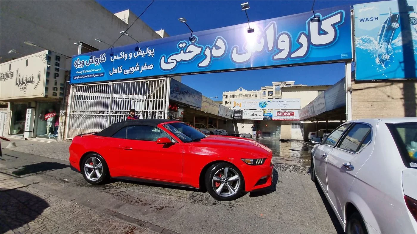 کارواش درختی